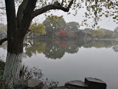 -西湖游船