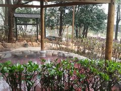 -山湖温泉