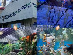 -上海海洋水族馆