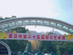 -南山植物园