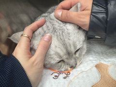 -美联众合动物医院·24h京西诊疗中心
