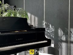 -Melody Mentor音乐私教馆(朝外·悠唐店)