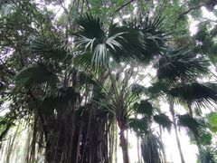 -深圳湾公园(南山区)