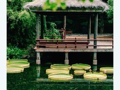 -上海滨江森林公园