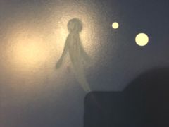 -东京塔海贼王主题公园