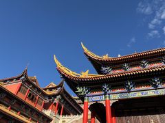 -东莞市大岭山森林公园