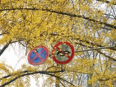 -四川大学(华西校区)