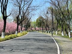 -东湖落雁景区