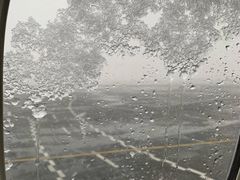 -纽瓦克自由国际机场