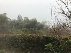 -天目湖涵田半山温泉
