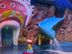 -烟台海昌鲸鲨海洋公园