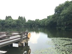 -西湖游船