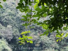 -海口火山口国家地质公园