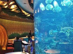 -迪拜帆船酒店海底餐厅