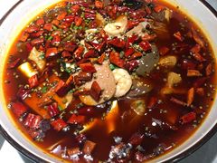 -雲蜀龙阁·金牌水煮鱼(方庄店)