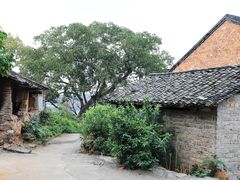 -扬美古镇景区