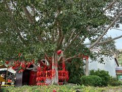 -三亚南山文化旅游区