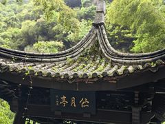 -宁波五龙潭景区