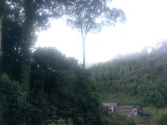 -乌鲁淡布隆国家公园