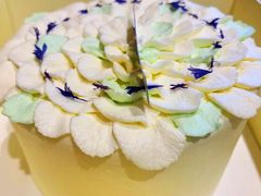 -奶油日报Journal de creme