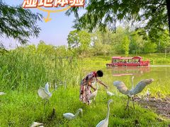 -溱湖国家湿地公园