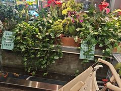 -洞庭家宴·头牌甲鱼(广渠门店)