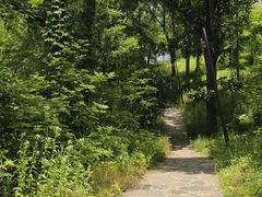 -佛手湖郊野公园