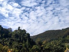 -西双版纳原始森林公园