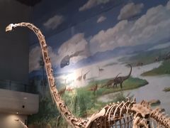 -自贡恐龙博物馆