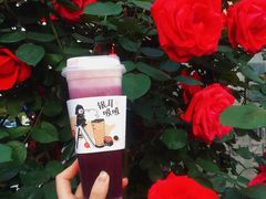 桑葚银耳吸-炖物24章·顺时轻养茶(杭州大厦店)