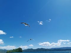 -泸沽湖里格半岛