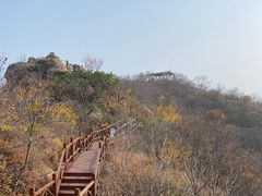 -大岭沟猕猴桃谷风景区