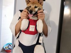 -喵汪宠物生活馆(涞坊路店)