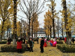 -百林公园-两江幸福广场
