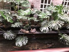 -福禧酒窖·中餐厅 (万柳店)