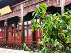 -上海皇廷花园酒店·御宴中餐厅