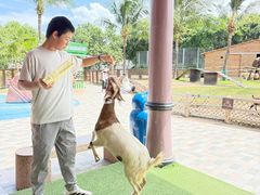 -芽庄珍珠岛游乐园