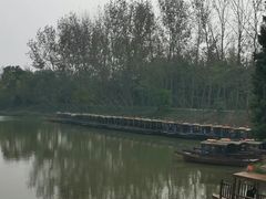 -溱湖国家湿地公园