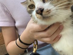 -玉椰林甜品店(创始店)