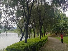 -飞来湖湿地公园