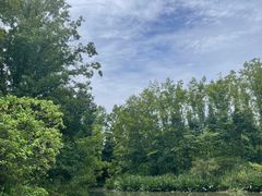 -桤木河湿地公园