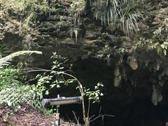 -怀托摩萤火虫洞