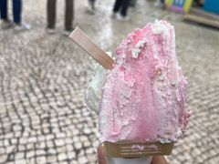 -柠檬车露(卖草地店)
