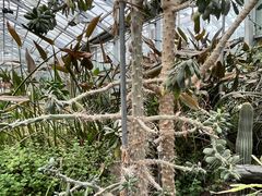 -国家植物园南园