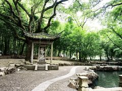 -兰亭风景区