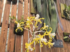 -国家植物园南园