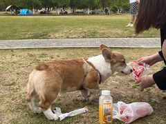 -钟山体育运动公园