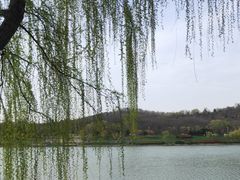 -羊山湖公园