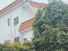 -陶缘一号·四季缘·老字号顺德菜·户外婚礼家宴(西滘店)