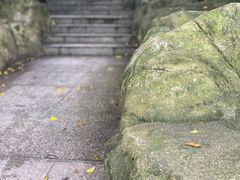 -晓港公园
